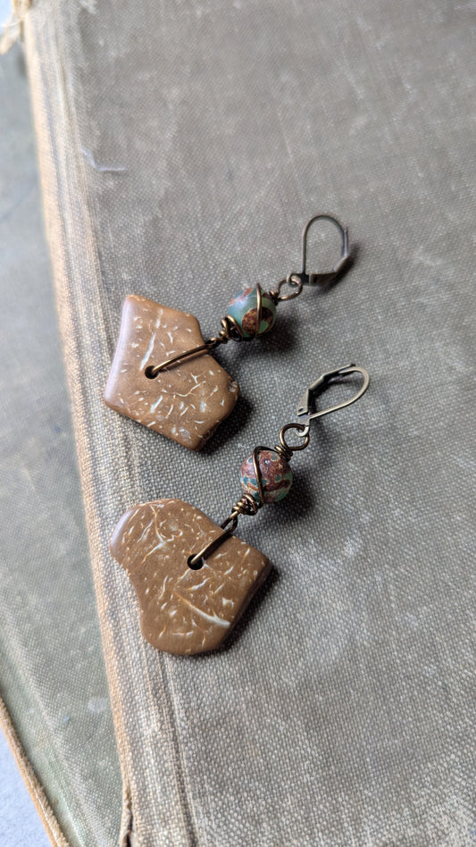 Coco-wood with Agate Earrings